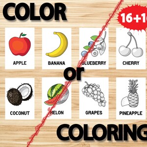 16 + 16 Fruits Cards • 16 Color Cards + FREE 16 Coloring Cards • Montessori Cards • Downloadable Kids Learning Flashcards • Learning Fruits