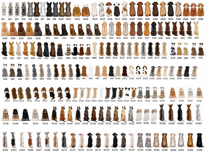 May include: A chart of 186 different dog and cat breeds, each sitting and facing the viewer. The animals are arranged in rows and columns, with each animal labeled with a number. The chart is a great resource for anyone who wants to learn more about different dog and cat breeds.