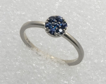 Montana Yogo Sapphire Ring set in White Gold!