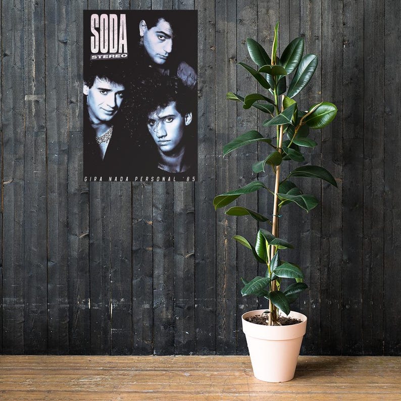 May include: A black and white poster featuring three men with the text SODA STEREO and GIRA NADA PERSONAL '85. The poster is displayed next to a tall green rubber plant in a light-colored pot. The background consists of dark vertical wooden planks.