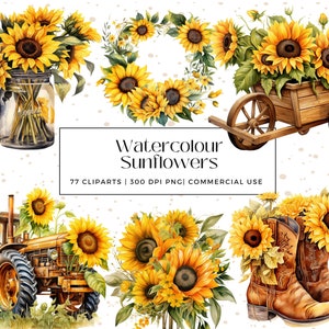 77 Watercolour Sunflowers Collection, Perfect for Scrapbooks, Wall Art, Cards, Journals, Decor, Instant Download, Commercial Use