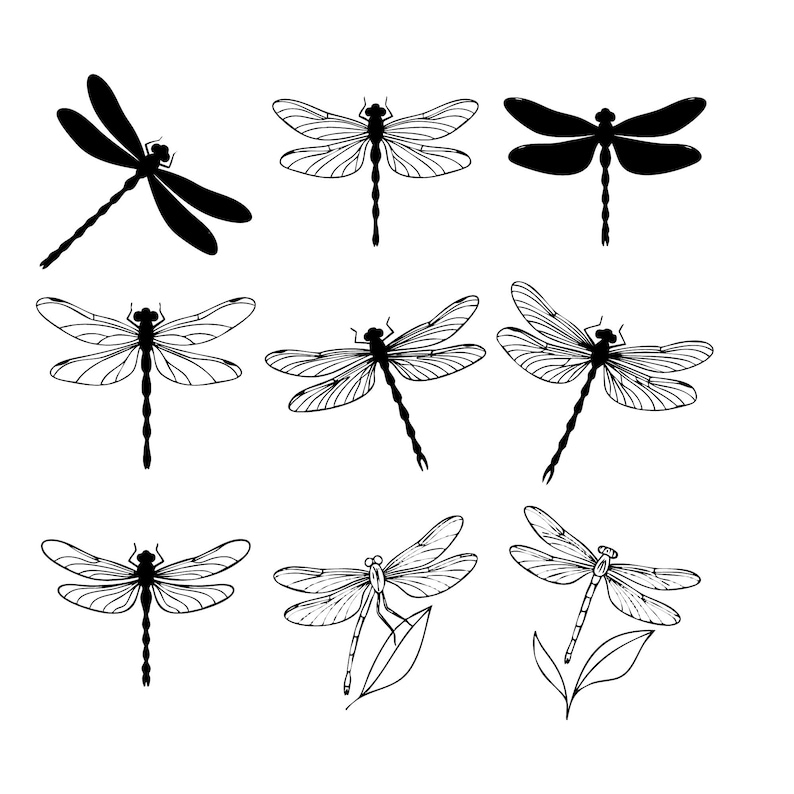 Dragonfly SVG Bundle, Dragonfly Clipart, Dragonfly Silhouette Png ...