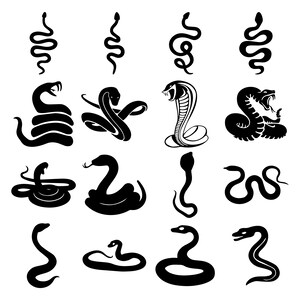 Snake Svg Bundle, Snake Clipart, Png, Boho Snake Svg, Snake Flowers Svg ...