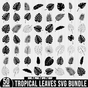 Tropical leaves svg bundle, Tropical Leaf, Monstera Silhouette Svg, monstera leaf svg, jungle leaves clipart, palm branch svg, Monstera png