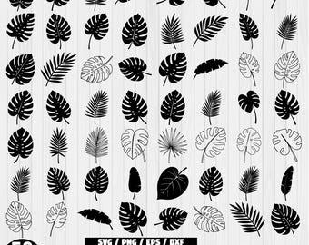 Tropical leaves svg bundle, Tropical Leaf, Monstera Silhouette Svg, monstera leaf svg, jungle leaves clipart, palm branch svg, Monstera png