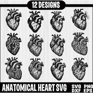 Anatomical Heart svg bundle, Flower Heart Svg, Nurse Life, Human Heart Svg, Heart S, Anatomy Svg, Medical Svg, Cut File Cricut, Silhouette