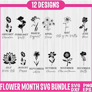 Bundle svg pour le mois de naissance, fleurs pour le mois de naissance, svg fleurs sauvages, fleur d'anniversaire, clipart fleur, botanique svg, svg floral, svg Daisy