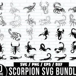 Scorpion SVG Bundle, Scorpion Svg, Scorpion Silhouette, Scorpion vector, Scorpion cut files, Scorpion png, Scorpion clipart, File for Cricut