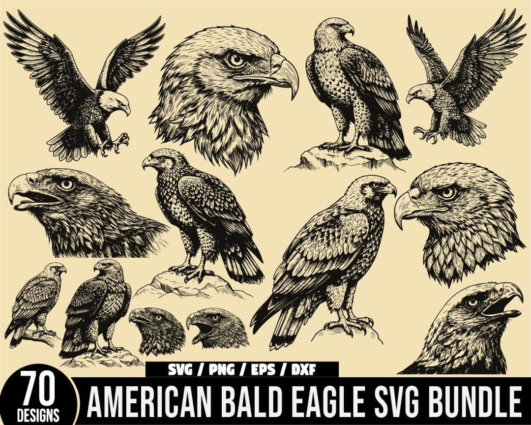 Eagles SVG Bundle, Flying Eagle Clipart, Eagle Png, Eagle Clipart ...