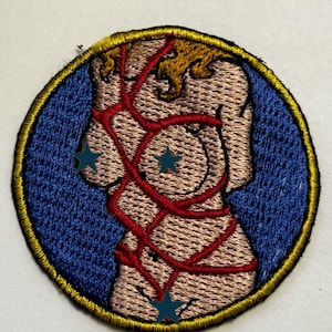 Vinyl Pony Play Merit Badge Decal - Etsy