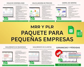 PLR Espanol, Hoja de cálculo empresarial, para pequeñas empresas, paquete de planificación empresarial, plan de negocios