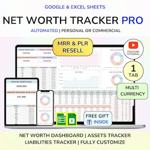 PLR Net Worth Tracker Wealth Tracker Assets Tracker Wealth Dashboard Finance Planner Budget Dashboard Wealth Planner Digital Download MRR