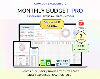 PLR Monthly Budget Spreadsheet Simple Excel Budget Budget Google Sheets Budget Planner Digital Digital Product Digital Download