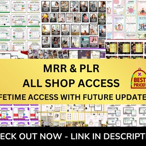 PLR Content Calendar Spreadsheet Social Media Planner Virtual Assistant Social Media Manager Digital Product Digital Download image 9