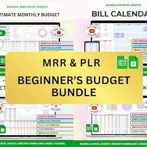 Plr Budget, PLR Google Sheets,  PLR Spreadsheet, Reseller spreadsheet, Budget Excel, Budget Planner, Budget Google Sheets, Budget Template