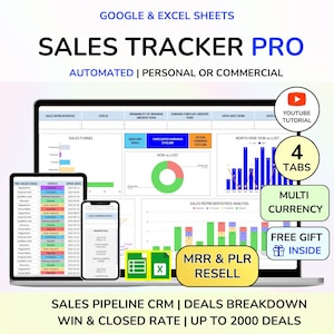 PLR Sales Excel Tracker Umsatz-Spalte Tabelle 2019-2020 2020-2019