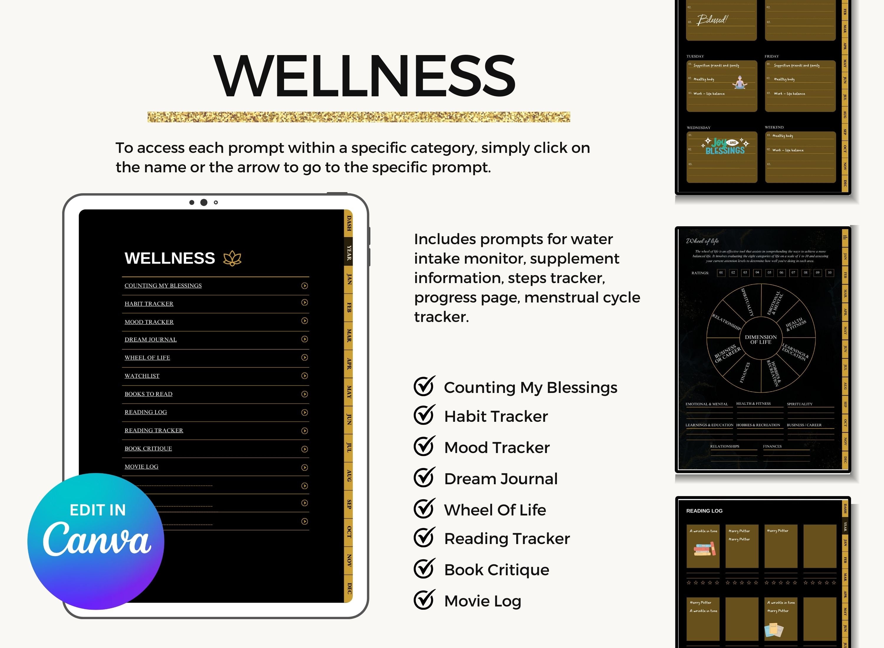 MRR PLR Digital Planner, Resell Planner, PLR Planner, Canva Planner ...