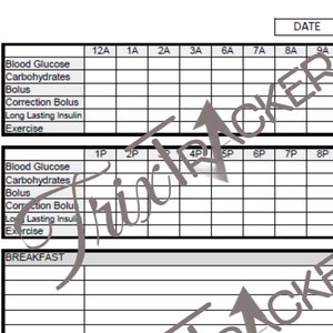 Diabetes Log - A5