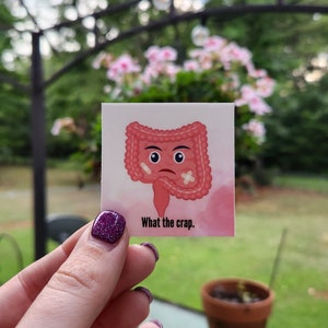 What the crap sticker, Intestines sticker, Anatomy sticker, Medical sticker