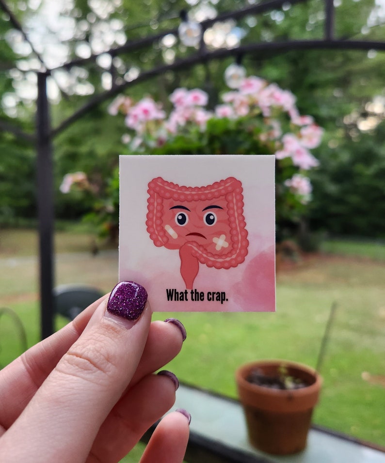 Intestine Sticker What the Crap Sticker, Intestines Sticker, Anatomy Sticker, Medical ...