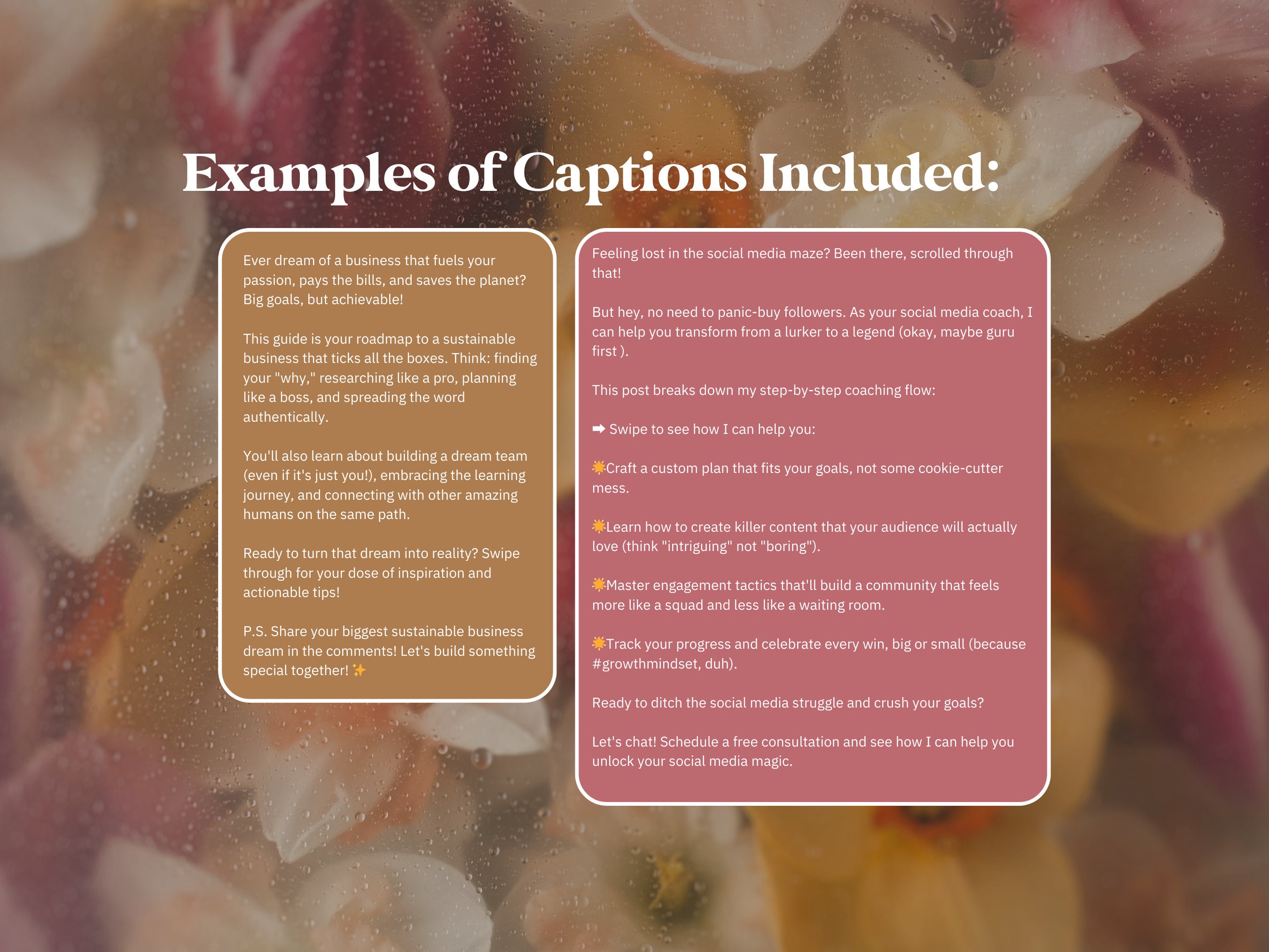 Instagram Carousel Canva Templates: 150+ Slides for Coaches (digital ...