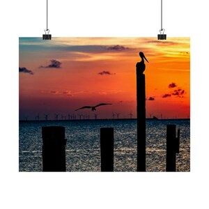 Malerisches mattes horizontales Poster - heiterer Sonnenuntergang mit Pelikanen und Windkraftanlagen