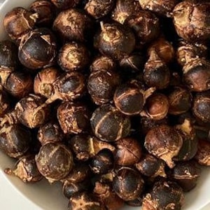 Gorontula | Silky Kola | Snot apple | Azanza Garckeana | Aphrodisiac
