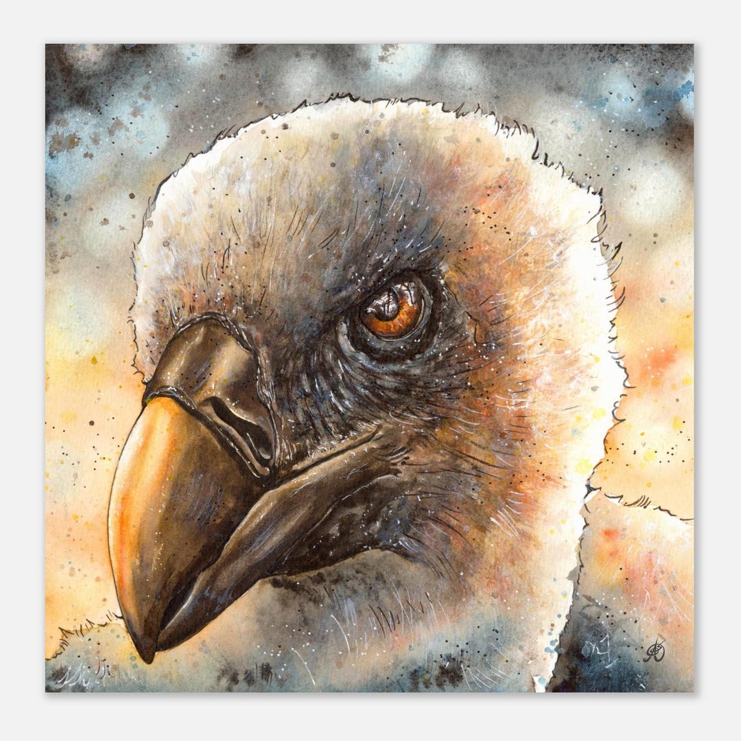 Volture Watercolor Art Print - Animal Wall Art Poster | by Asfoxdesign ...