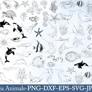 May include: A monochrome illustration featuring various sea creatures such as whales, fish, and starfish. The image includes detailed drawings of marine life. Text at the bottom reads "Sea Animals-PNG-DXF-EPS-SVG-JPG".