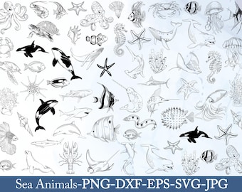 Meerestiere Line Art Collection: Ocean SVG PNG Bundle