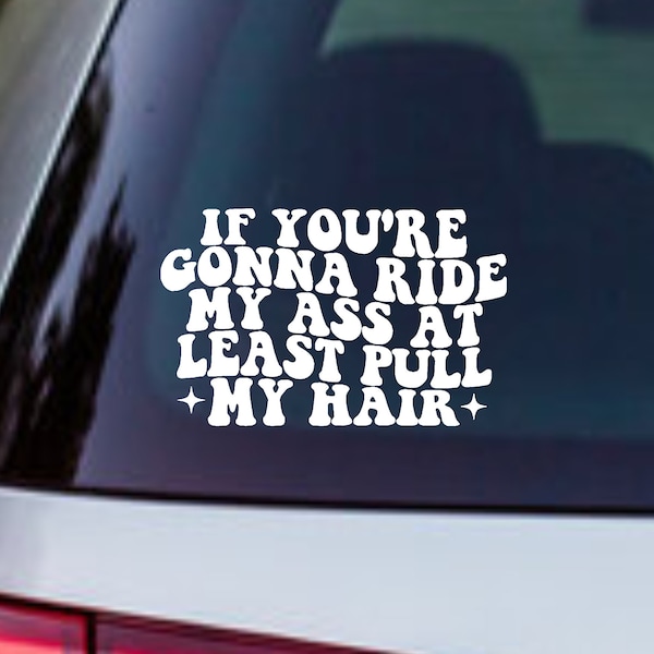 Grappige autosticker | Trek aan mijn haar, bumper Humper | Autosticker | Kleuropties | Leuke autosticker | 6 inch | Sticker | Meisje | Hommel