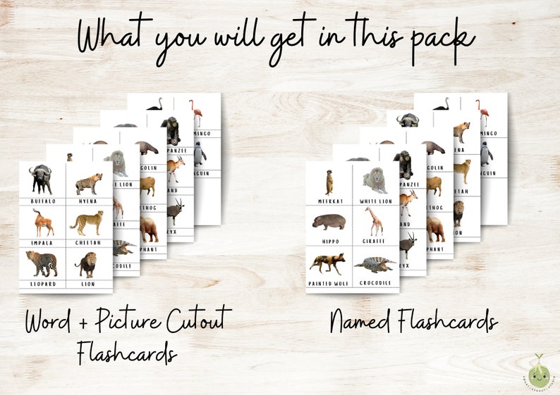 Flash Cards Montessori Cards Safari Animals Montessori Materials ...