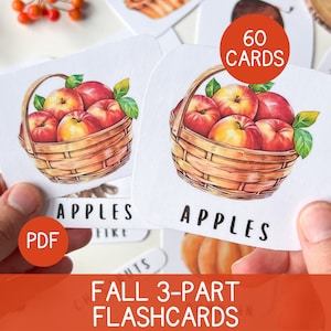 Herfst Flash Cards Herfst Flash Cards voor peuters Montessori Homeschool Peuter Preschool Klas Afdrukbare bronnen Reggio Emilia