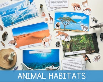 Animal Matching Habitat Unit Study Printable Homeschool Activities for Toddlers Printable Animal Activity Classroom Resources