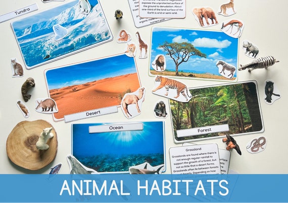 Animal Matching Habitat Unit Study Printable Homeschool Activities for Toddlers Printable Animal Activity Classroom Resources