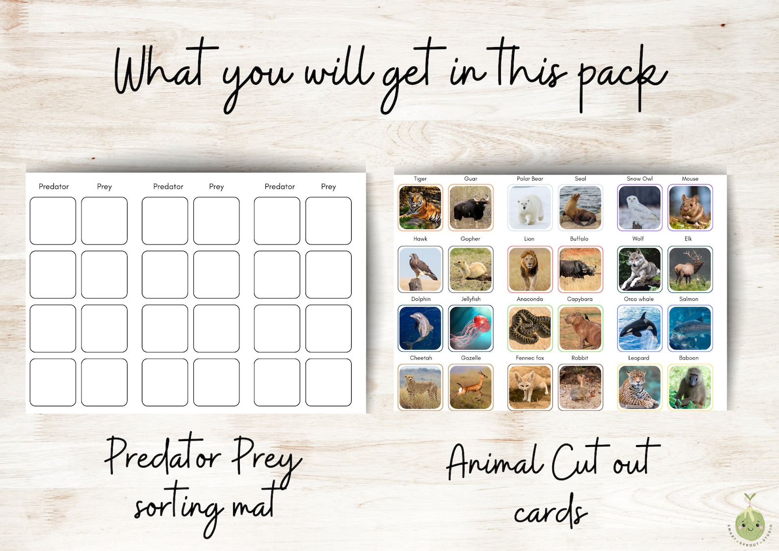 Animal Educational Activities for Preschool Predator and Prey Animal ...