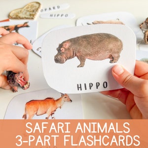 Flash-Karten Montessori-Karten Safari-Tiere Montessori-Materialien Homeschool Kleinkind Vorschule Klassenzimmer druckbare Lernressourcen