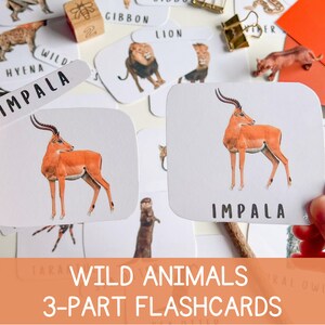 Flash Cards Montessori Cards Wild Animals A-Z Montessori Materials Homeschool Toddler Preschool Classroom Printable Educational Resources