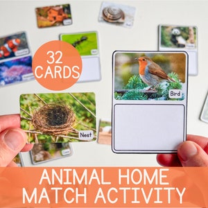 Activité éducative sur les animaux Accueil Nommage et correspondance Activités scientifiques imprimables pour les enfants Correspondance d'animaux Livre occupé Activité Insert