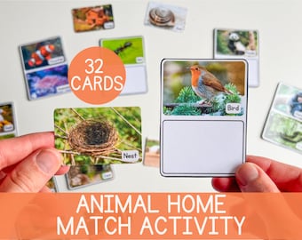 Animal Educational Activity Home Naming and Matching Printable Science activities for kids Animal Matching Busy Book Activity Insert