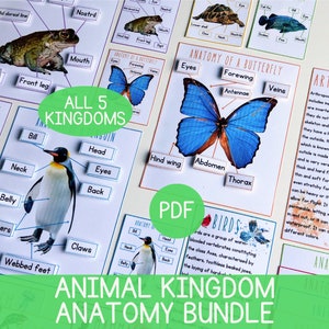 Animal Classification Anatomy Unit Study Printable Homeschool Activities for Toddlers Printable Animal Activity Classroom Resources
