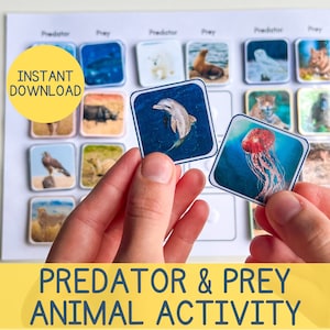 Animal Educational Activities for Preschool Predator and Prey Animal Activity Homeschool printables Science activities for kids Unit Study