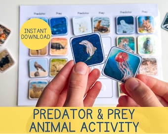 Animal Educational Activities for Preschool Predator and Prey Animal Activity Homeschool printables Science activities for kids Unit Study