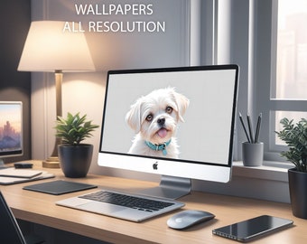 Computer Wallpapers! maltese 4k, HD, wide-screen, phone!