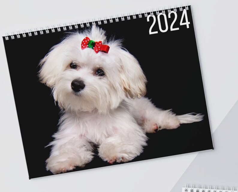 Maltese Wall Calendar 2024 Dog Lovers Gift Maltese Cute Calendar Gift