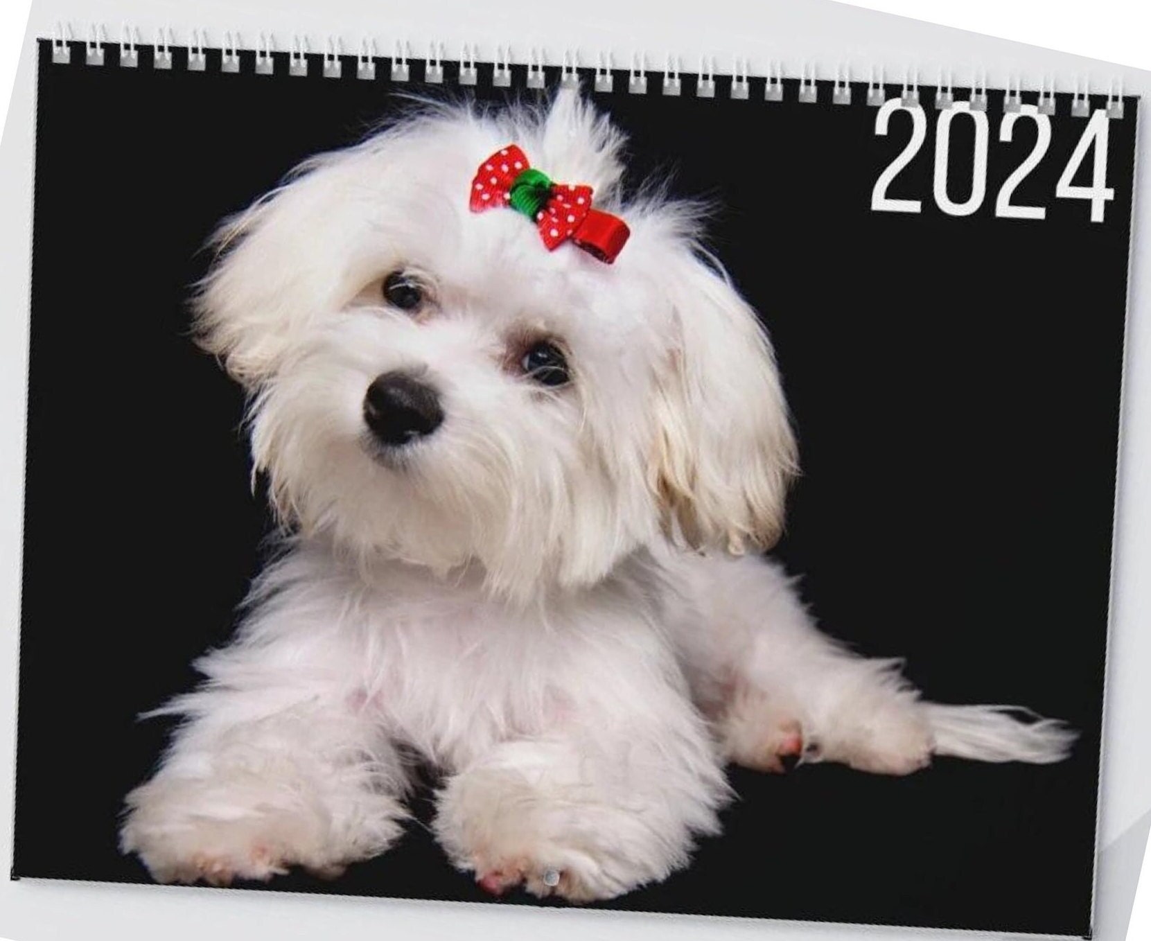Maltese Wall Calendar 2024 Dog Lovers Gift Maltese Cute Calendar Gift