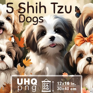 Work & Print - 5 Png Bundle Cute Shih Tzu Dog Paintings - 300 DPI, 12 in x 16 inches / 30 x 40 cm - Printables Transparent Png Clipart