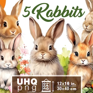 Trabalho e impressão - Pacote com 5 coelhos fofos de estimação em PNG - 300 DPI, 12 pol x 16 pol / 30 x 40 cm - Clipart PNG transparente para impressão
