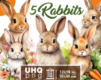 Work & Print - 5 Png Bundle Cute Pet Rabbits - 300 DPI, 12 in x 16 inches / 30 x 40 cm - Printables Transparent Png Clipart