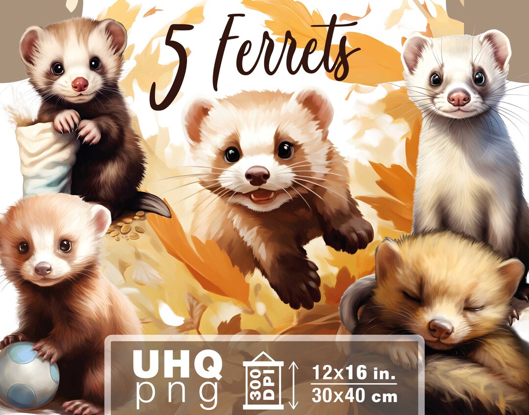 Work Ferrets Work & Print - 5 Png Bundle Cute Pet Ferrets - 300 DPI, 12 in X 16 ...